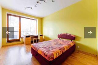 Slnečný a priestranný byt vo výbornej lokalite - Košice - 1