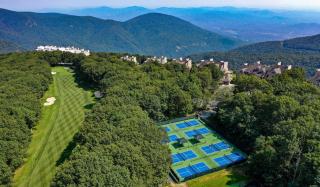 Mountain Inn Lodge 61 with Wintergreen Advantage - Wintergreen - 3