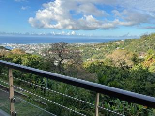 Cosy Vaikea Lodge, Pamatai road - 2