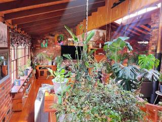Seaview Garden - Kingston Beach - 5