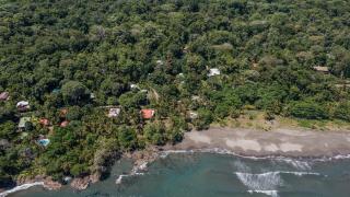 Playa Grande Lodge & Tree House - Cahuita - 9