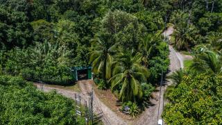 Playa Grande Lodge & Tree House - Cahuita - 4