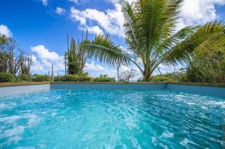 Villa moderne avec piscine à Le Vauclin - 8