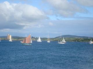 Herons Cove Cottage - 1