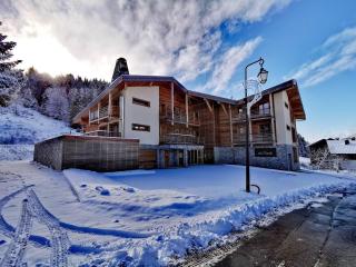 Appartement lumineux 4 pièces aux Gets, accès direct aux pistes, 6 pers, garage, Wi-Fi - FR-1-598-37 - Les Gets - 9