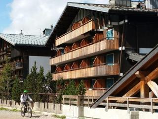 Studio au pied des pistes avec Wifi, animaux acceptés - FR-1-598-86 - Les Gets - 9