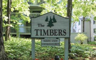 Timbers Studio 45 with Wintergreen Advantage - Wintergreen - 2