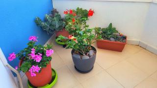Tenerife sud golf appartament - San Miguel de Abona - 5