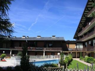 Appartement skis aux pieds avec piscine, rénové et confortable - FR-1-598-18 - Les Gets - 9