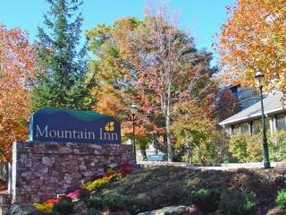 Mountain Inn Studio 95 with Wintergreen Advantage - Wintergreen - 5