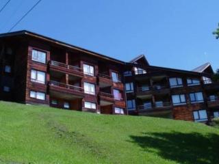 Appartement lumineux avec terrasse, parking et WiFi aux Gets - FR-1-598-51 - Les Gets - 1