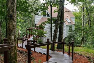 Black Dog Treehouse with Wintergreen Advantage - Wintergreen - 0