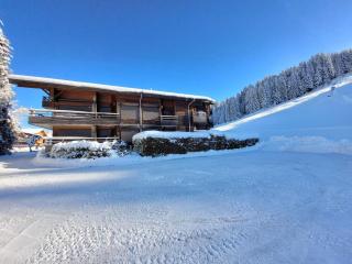 T3 au pied des pistes avec parking et WiFi - FR-1-598-128 - Les Gets - 9