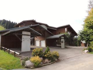 T3 au pied des pistes avec parking et WiFi - FR-1-598-128 - Les Gets - 8