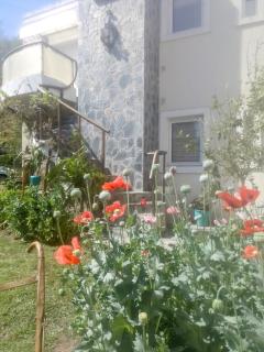 'Rincón de Onena' monoambiente - Tandil - 8