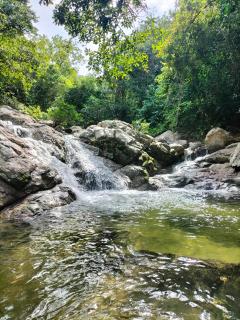 Ave de Montaña Cabañas - 1
