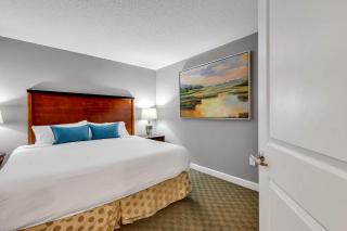 Oceanfront Perfect Couples Getaway - Myrtle Beach - 7