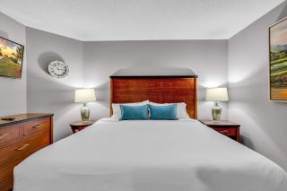Oceanfront Perfect Couples Getaway - Myrtle Beach - 6