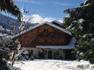 Chalet de prestige 5* aux Gets avec jacuzzi et cheminée - FR-1-598-39 - Les Gets - 2