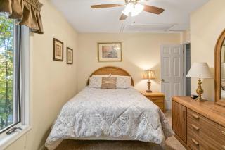 Blissful Retreat with Wintergreen Advantage - Wintergreen - 3