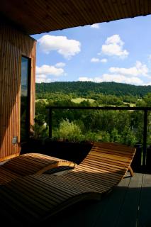 Brown Deer - z Sauną na Tarasie, Jacuzzi i Widokiem na Góry - by Deer Hills Luxury Apartments - Kocoń - 2
