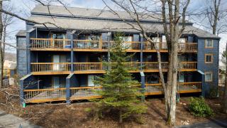 Timbers Lodge 54 with Wintergreen Advantage - Wintergreen - 4