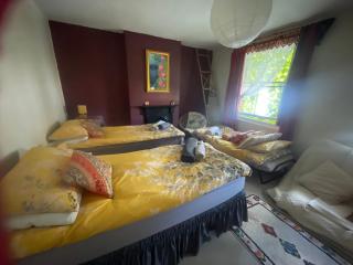 Homestay in The Heart Of Avalon - Glastonbury - 1