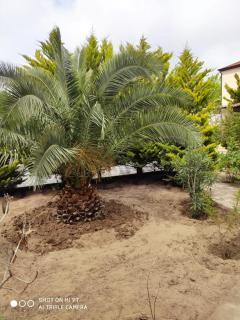 Mardakan Green Village - Baku - 5