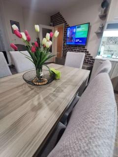 Luxurious flat - Pleven center - Pleven - 1