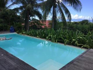 Magnifique maison avec piscine à débordement à Marie Galante - Beaurenom - 0