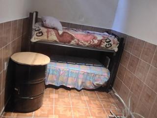 super casa - Celaya - 5