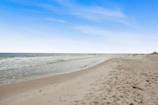 Phoenix VIII 8904: Sand Shells and Sun - 3