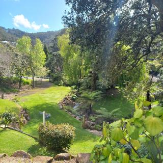 Hahei Cottages - Willow or Kauri - 7