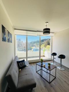 Moderno y amplio Departamento 1D1B con fabulosa Vista al Parque Ecuador y a la ciudad - Concepción - 9