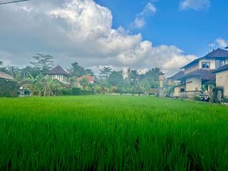 Kolibri villa ubud The beautiful private villa with private pool - Ubud - 3