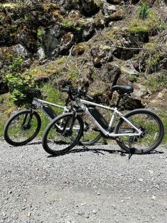 Luxe Chalet at Rainier Entrance with Hot Tub-AC-WiFi - 7