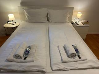 Near airport Zagreb, Wi-Fi, Netflix, Self check in - 5