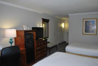 Wyndham Garden Summerville - 7