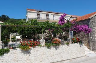 Apartments & Room Eva Slano - Two Bedroom Apartment with Terrace and Sea View Veliki - Slano - 2