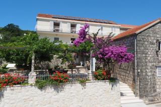 Apartments & Room Eva Slano - Two Bedroom Apartment with Terrace and Sea View Veliki - Slano - 1