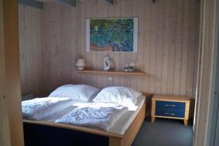 Ferienhaus mit besondere Ausstattung - Granzow - 2