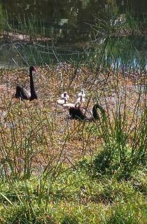 Lakehouse Studio - 9