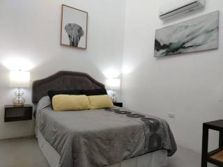 CR Arenal Apartments Familiar - Fortuna - 8