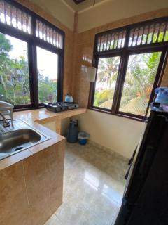 Sawah villa - Ubud - 0