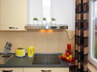 Apartment Milenka - Four Bedroom Apartment with Terrace - Čilipi - 2