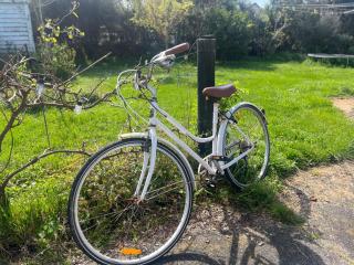 Greytown Farmhouse - Greytown - 8