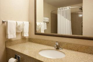 Holiday Inn Express & Suites Custer-Mt Rushmore - 4