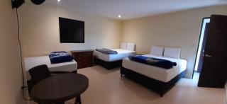 Hotel 50 Suites - Caldas - 3
