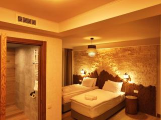 Hotel Ushba in Mestia - 2