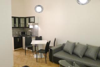 Black & White Apartment Prague by Wenceslas Square and Muzeum - 9